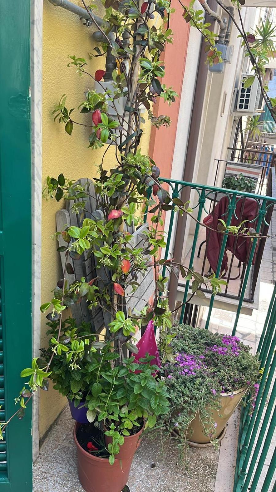 La Casa Di Nonna Sisina Villa Mola di Bari Bagian luar foto
