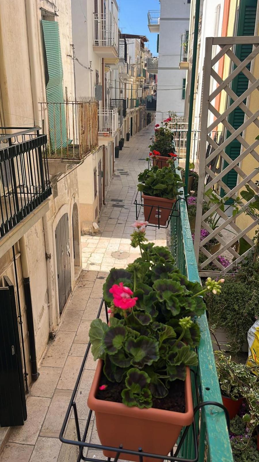 La Casa Di Nonna Sisina Villa Mola di Bari Bagian luar foto